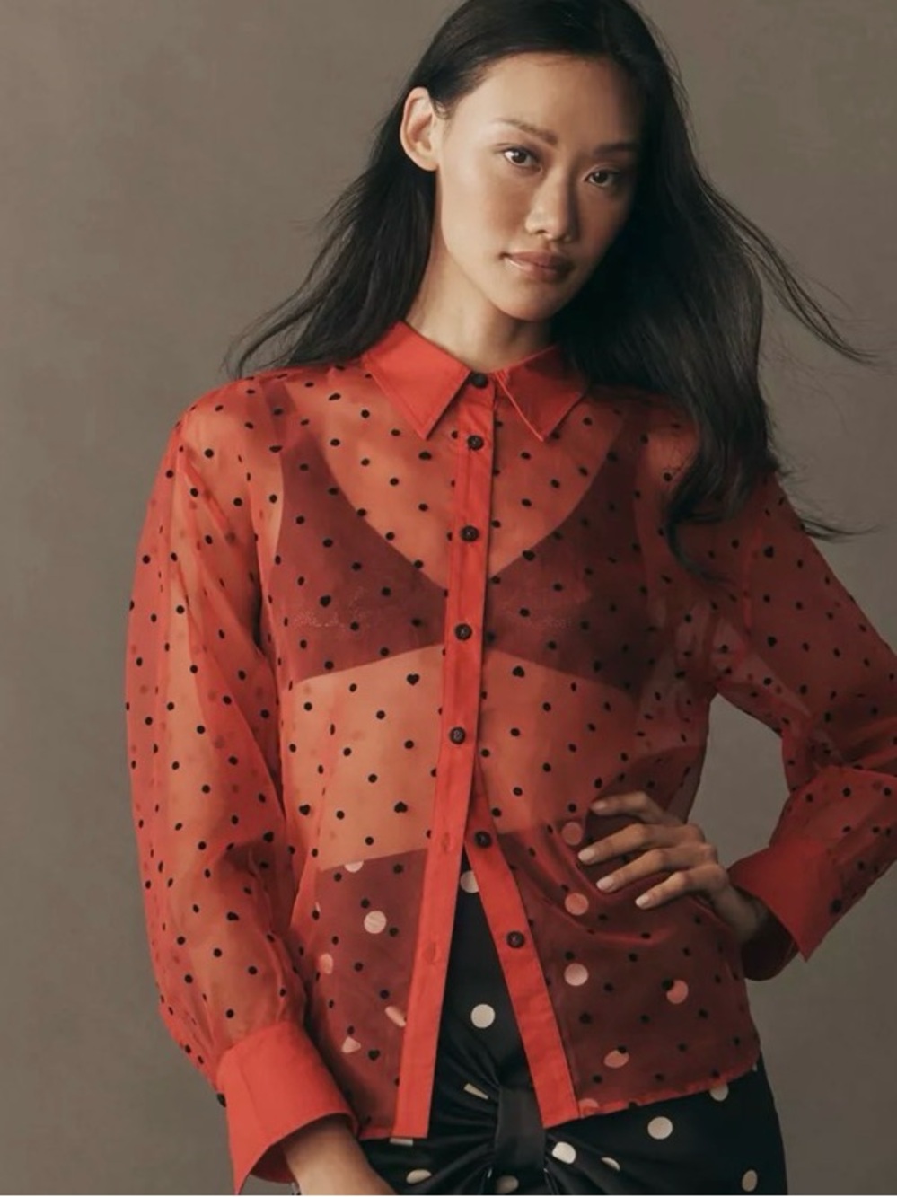 Maeve Anthropologie Red Sheer Organza Velvet Heart Blouse NWT Size L